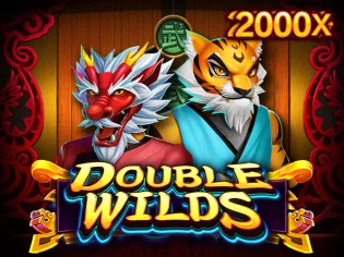 Double Wilds game cover