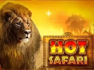 Hot Safari game cover